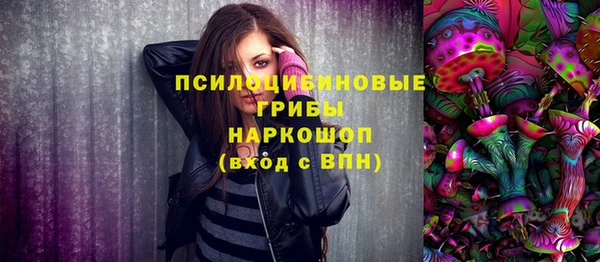 дмт Балахна