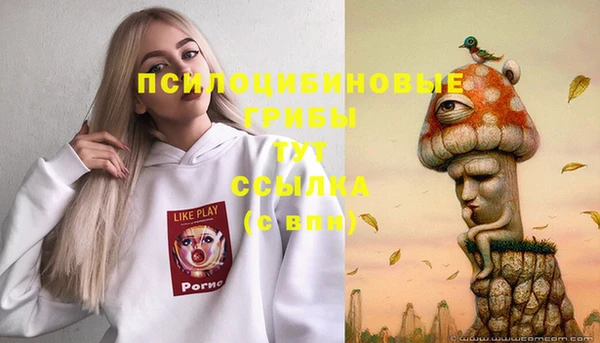 дмт Балахна