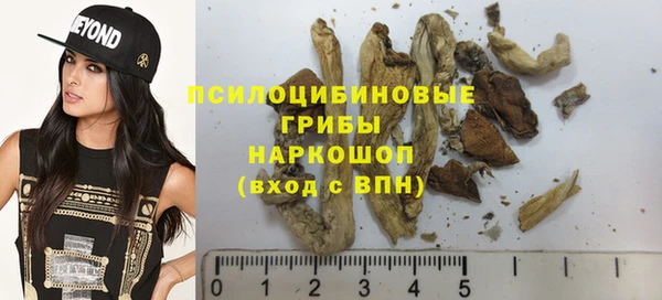 гидропоника Аркадак