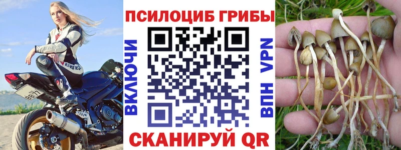 Галлюциногенные грибы MAGIC MUSHROOMS  что такое наркотик  Верхняя Салда 